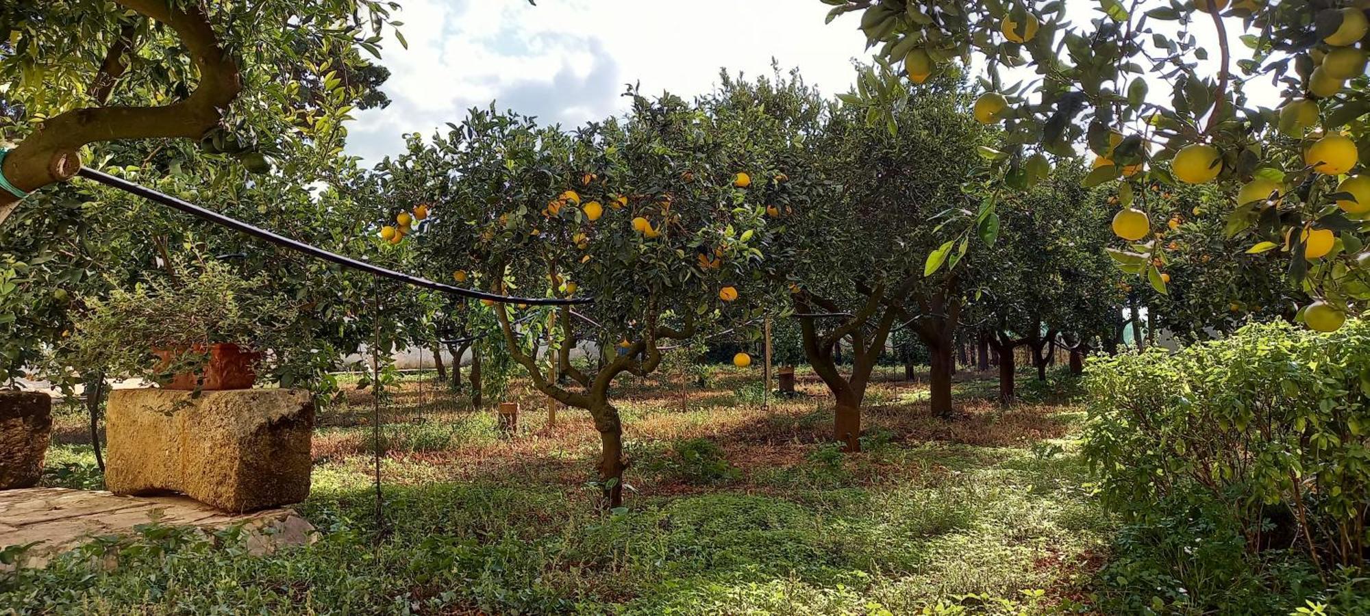 Baglio Spano - Antiche Dimore Di Sicilia Petrosino Exteriér fotografie